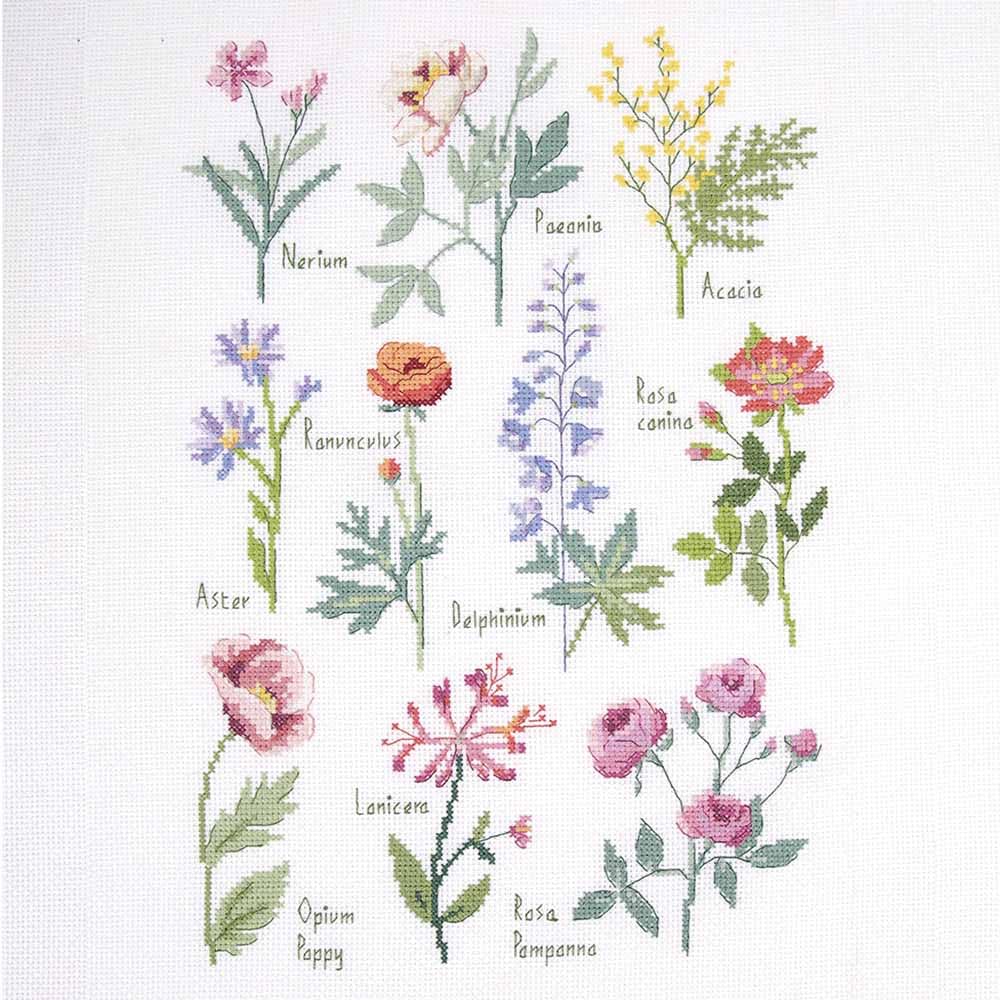 dmc-botanische-studie-kreuzstichset-mittel-36-farben image 1
