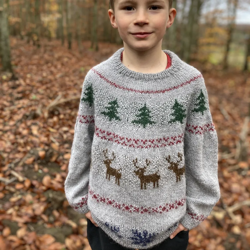 hobbii-anleitungen-holly-pines-junior-pullover-strickanl-10-12-j image 1