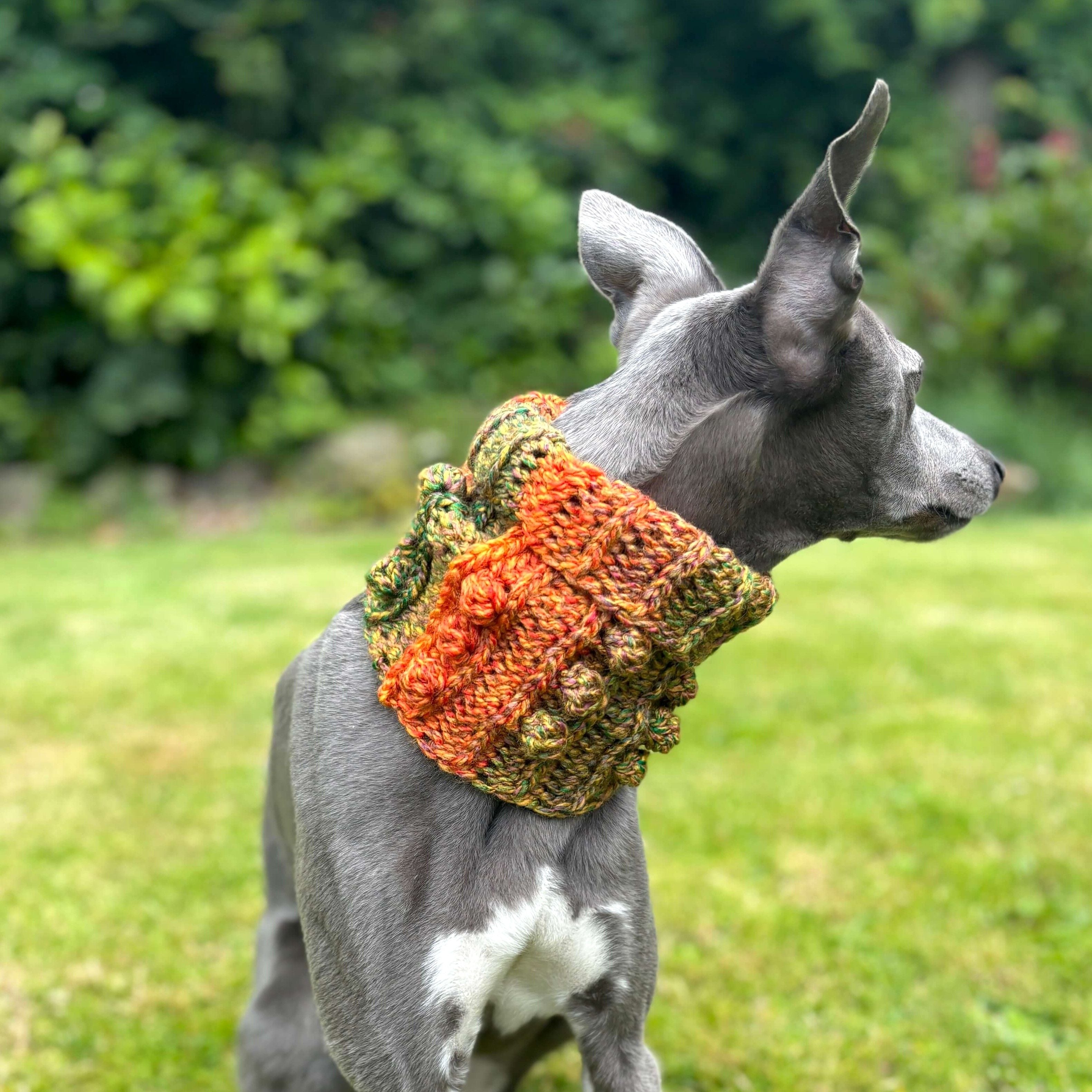 hobbii-anleitungen-doggy-bobble-schalkragen-s-m-l-hund image 3