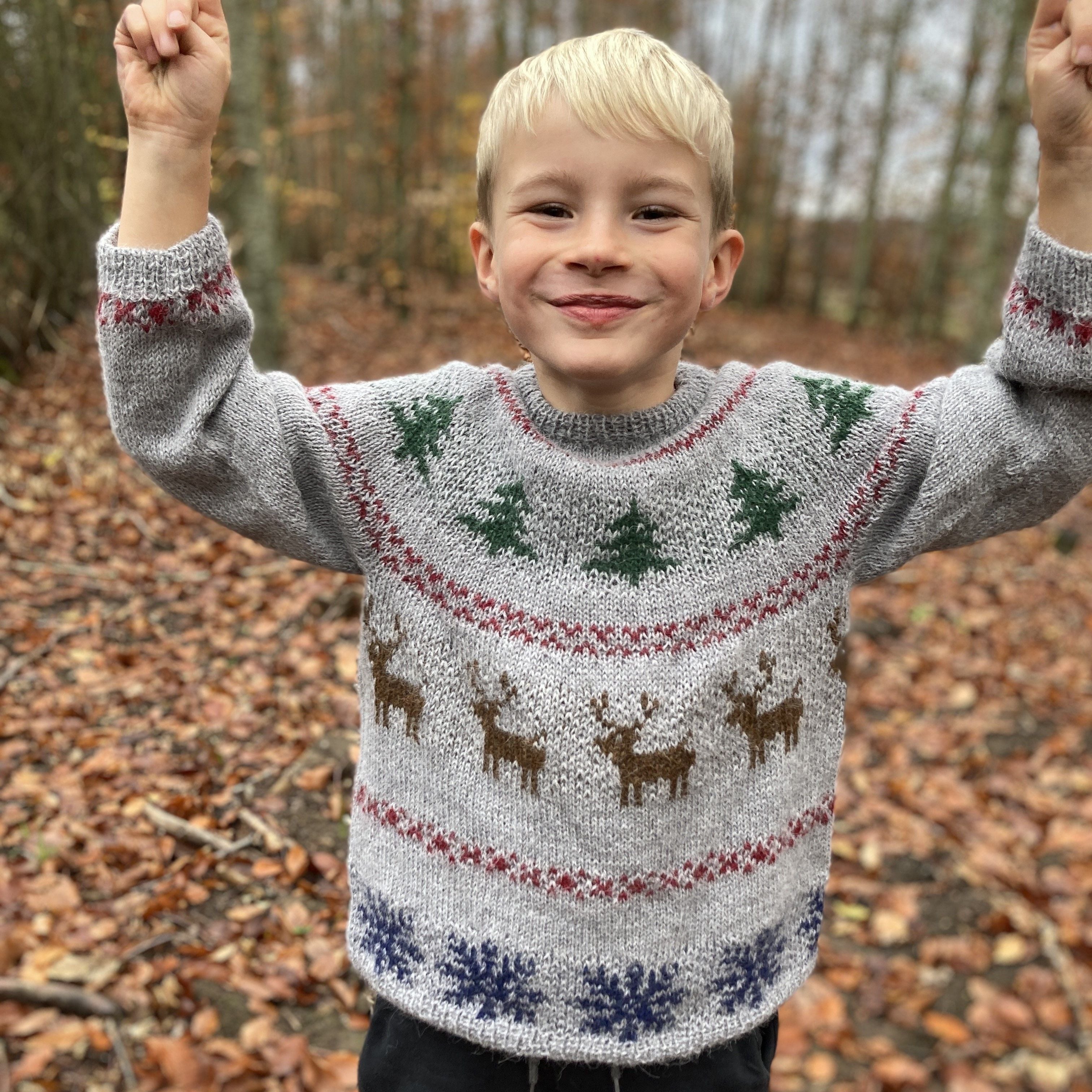 hobbii-anleitungen-holly-pines-junior-pullover-strickanl-10-12-j image 2