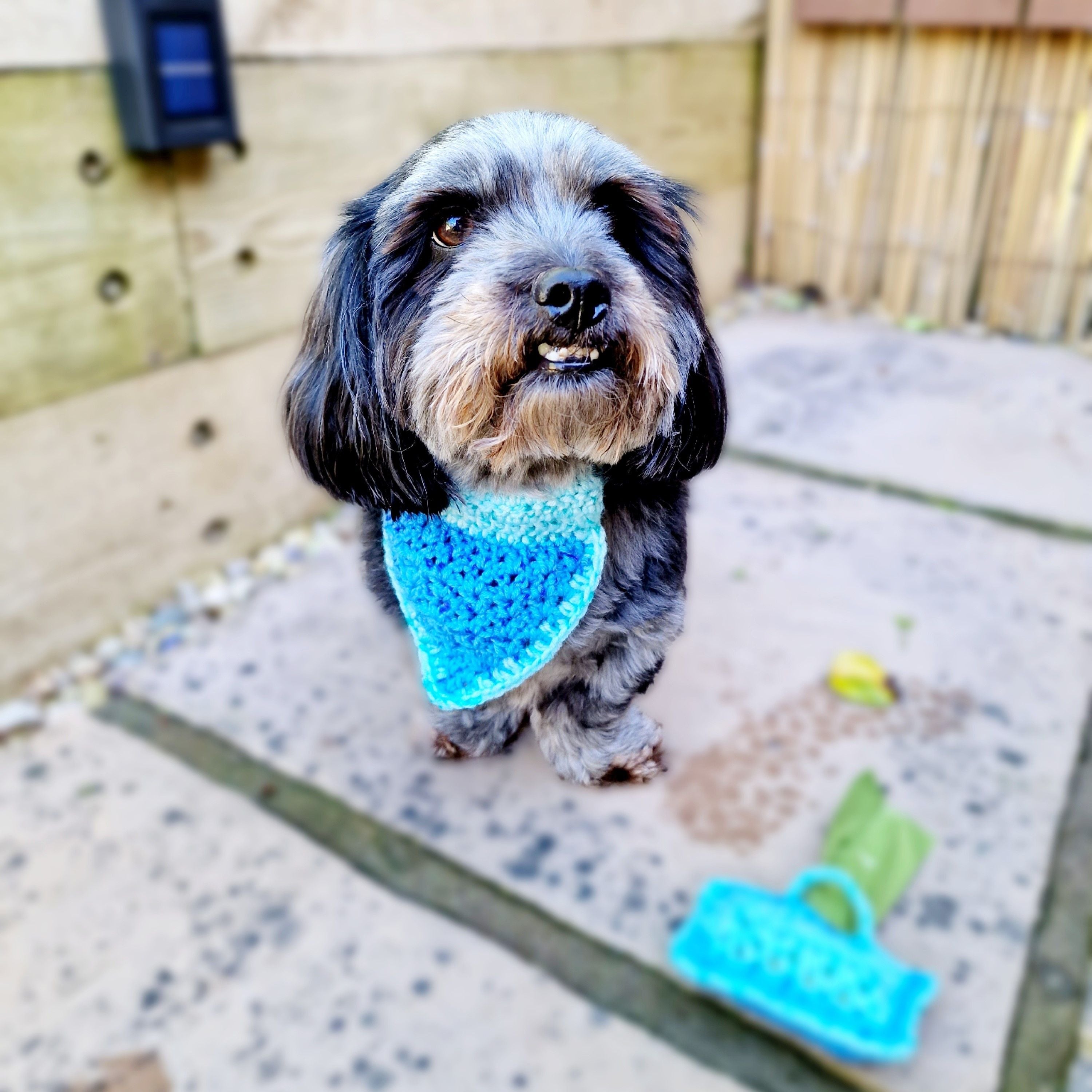 hobbii-alfie-bandana-h-kelanleitung-pdf-hund-blau-pink image 5