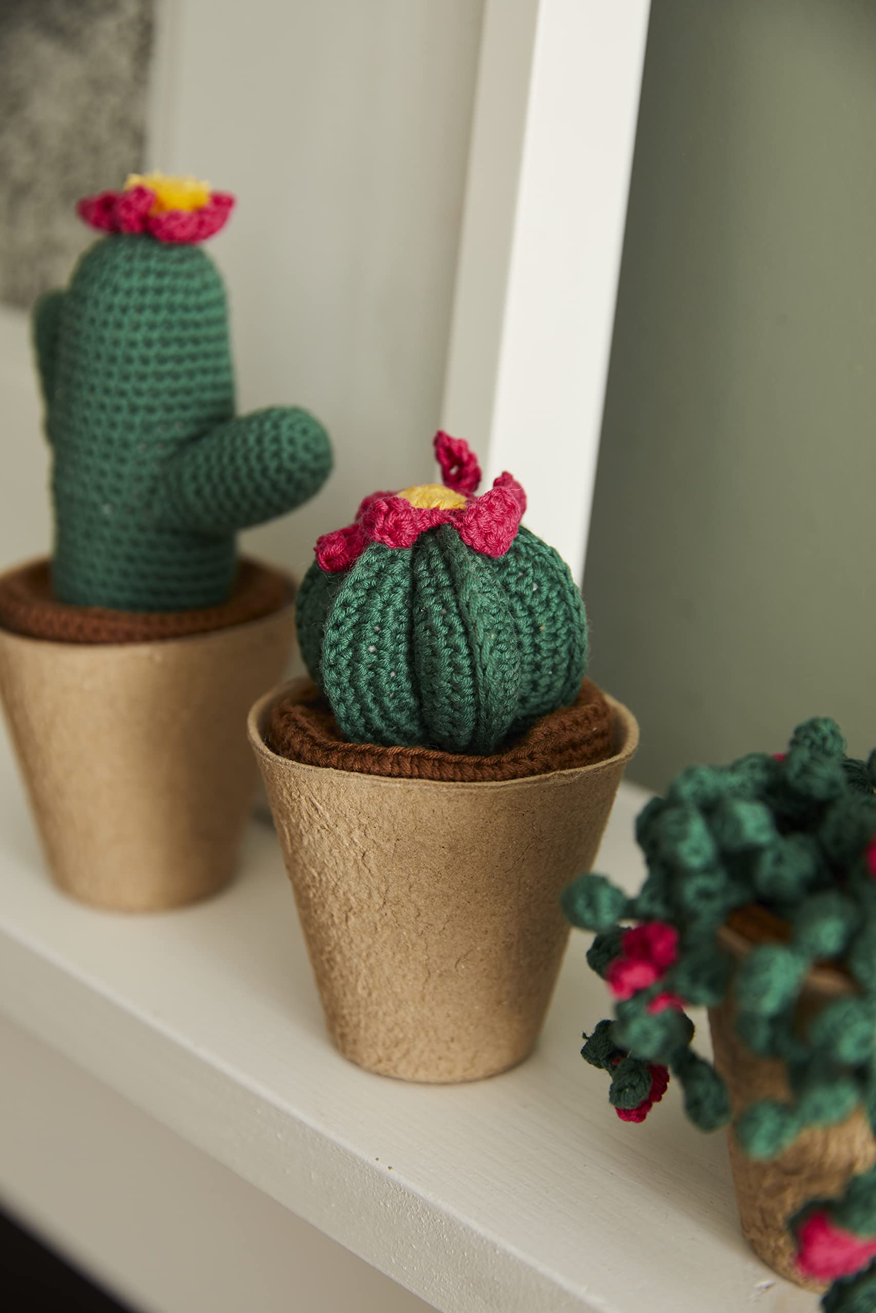 dmc-moulin-h-kelset-kakteen-3-amigurumi-baumwolle image 6