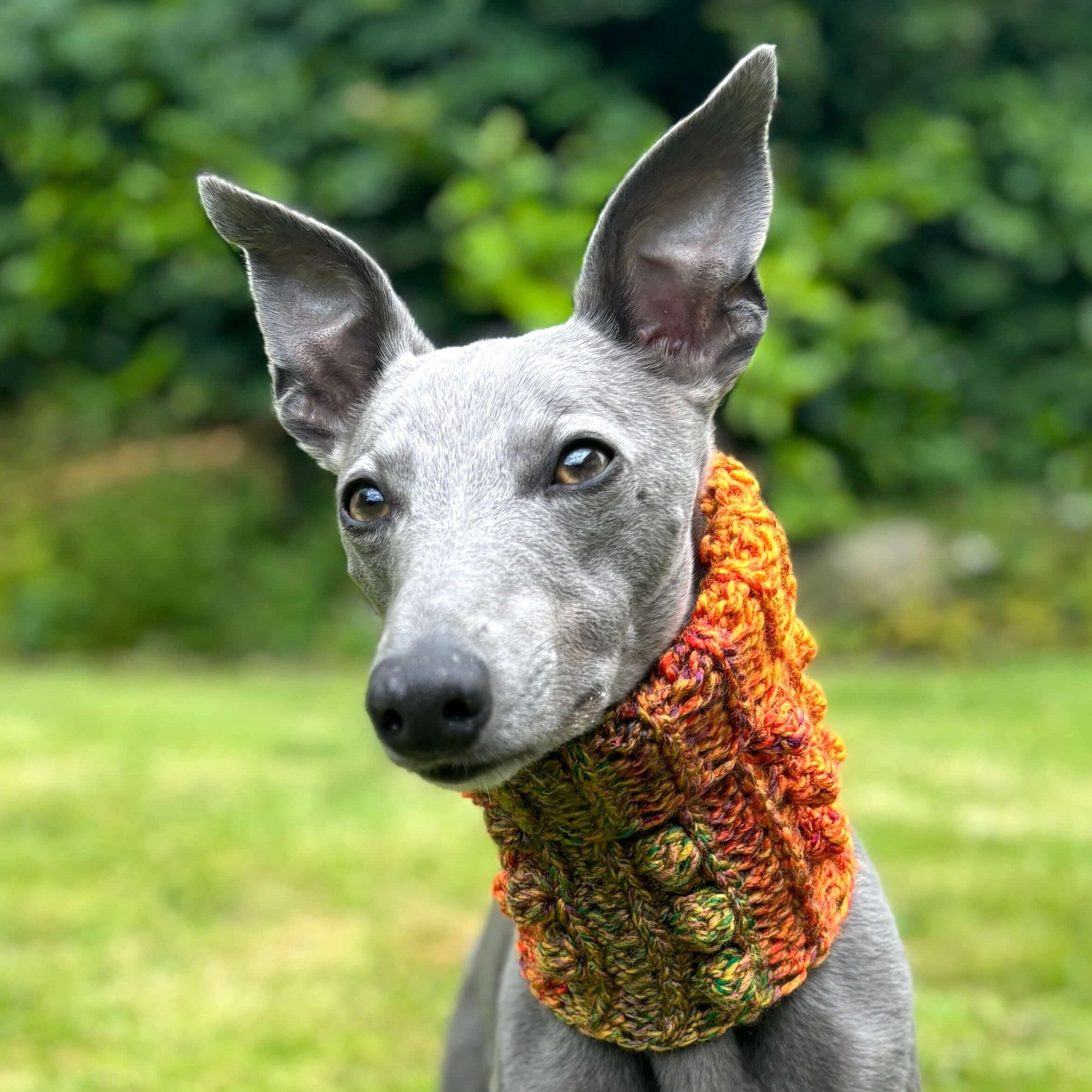 hobbii-anleitungen-doggy-bobble-schalkragen-s-m-l-hund image 2