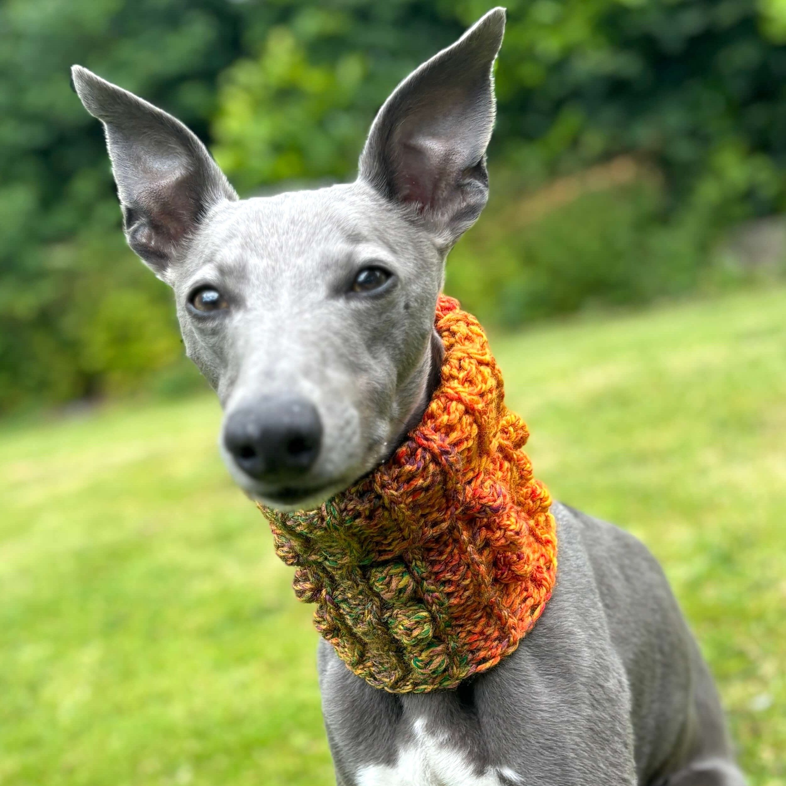 hobbii-anleitungen-doggy-bobble-schalkragen-s-m-l-hund image 4