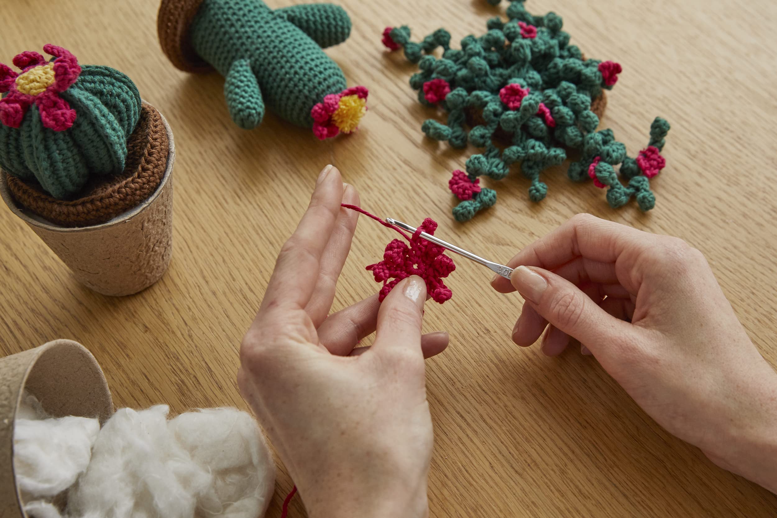 dmc-moulin-h-kelset-kakteen-3-amigurumi-baumwolle image 3