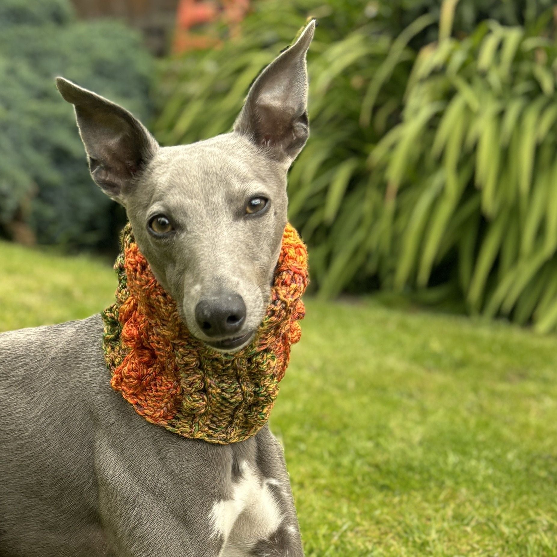 hobbii-anleitungen-doggy-bobble-schalkragen-s-m-l-hund image 5