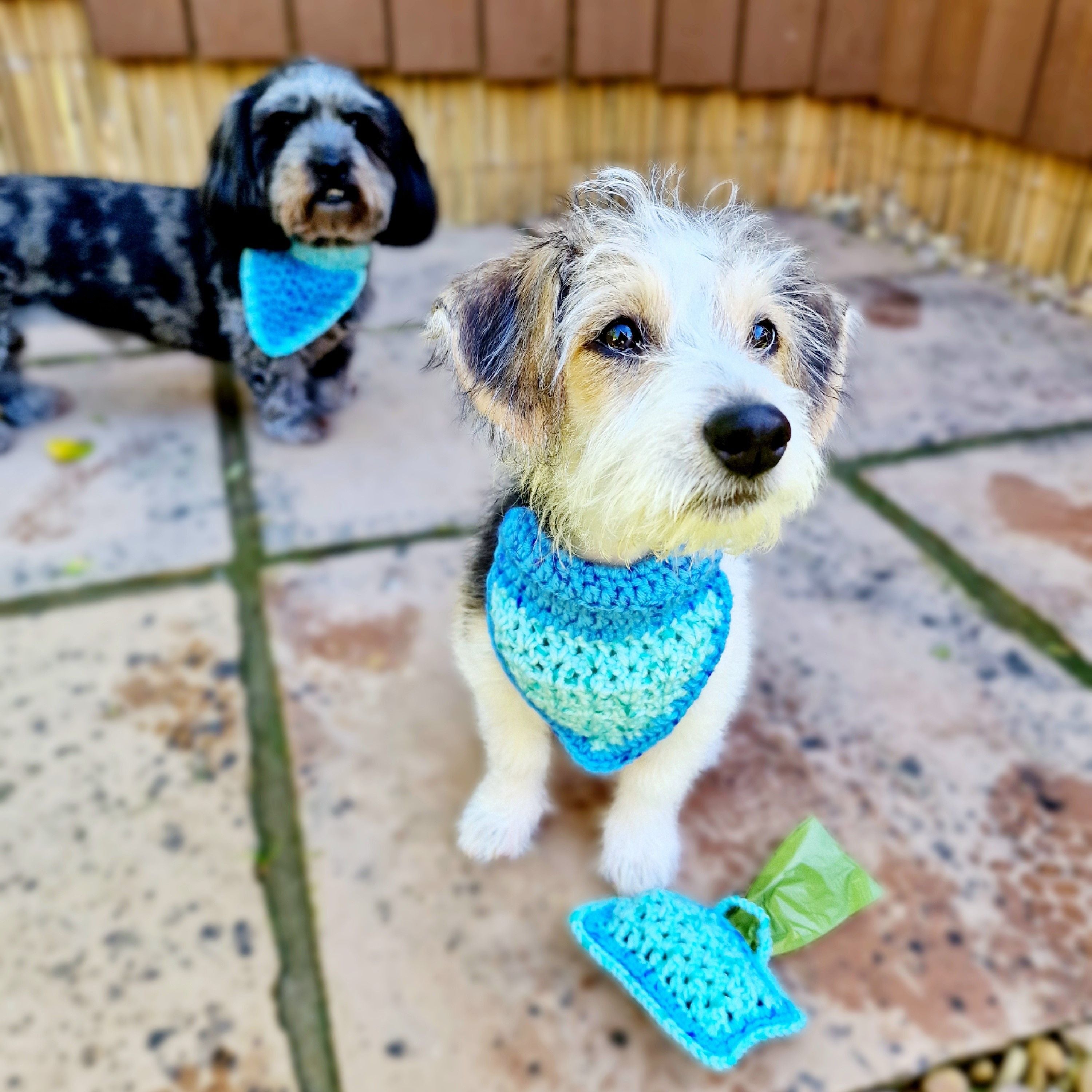 hobbii-alfie-bandana-h-kelanleitung-pdf-hund-blau-pink image 4