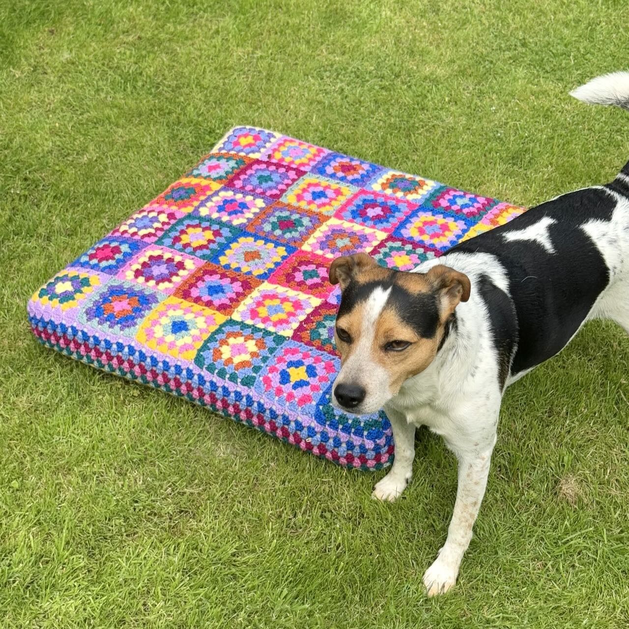 hobbii-kafkas-hundebett-h-kelanleitung-65x65-cm-granny image 3