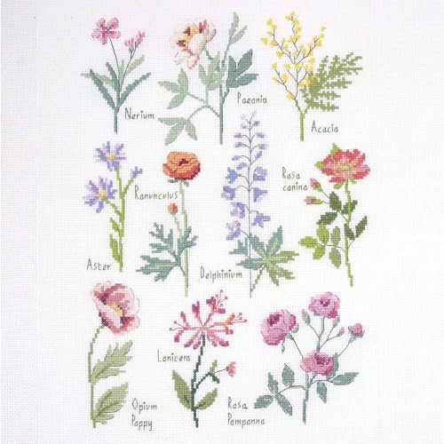 dmc-botanische-studie-kreuzstichset-mittel-36-farben image 2
