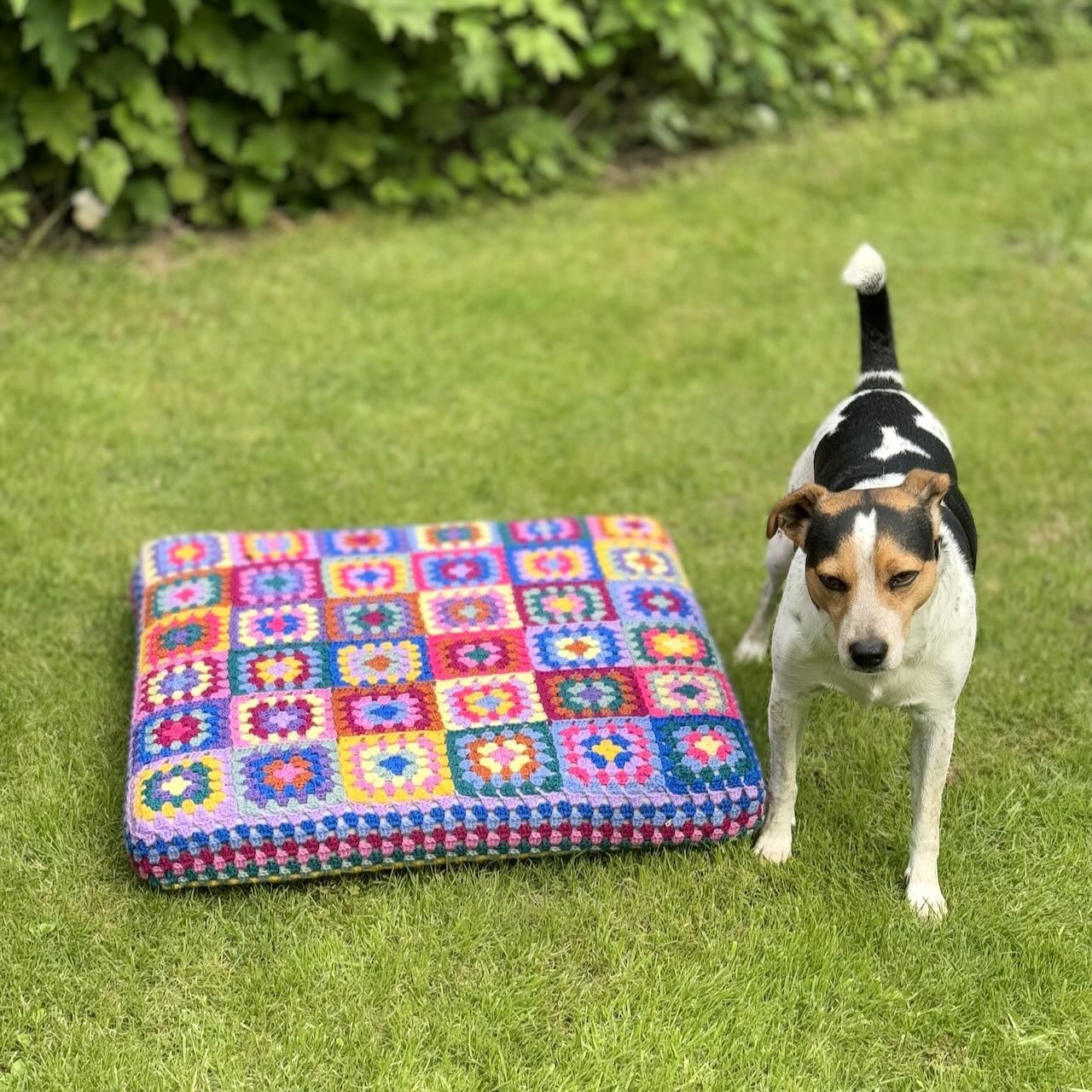 hobbii-kafkas-hundebett-h-kelanleitung-65x65-cm-granny image 2
