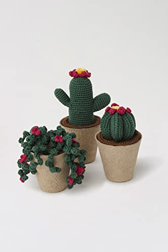 dmc-moulin-h-kelset-kakteen-3-amigurumi-baumwolle image 8