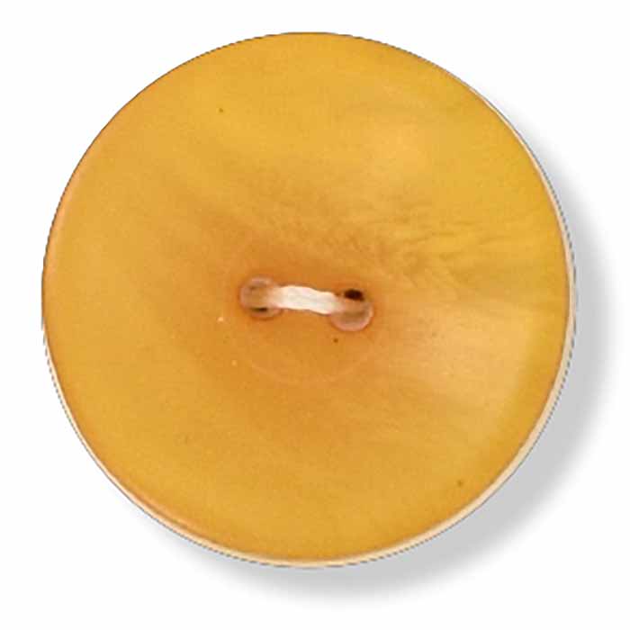 king-cole-knopf-muscheloptik-senf-20-ligne image 1