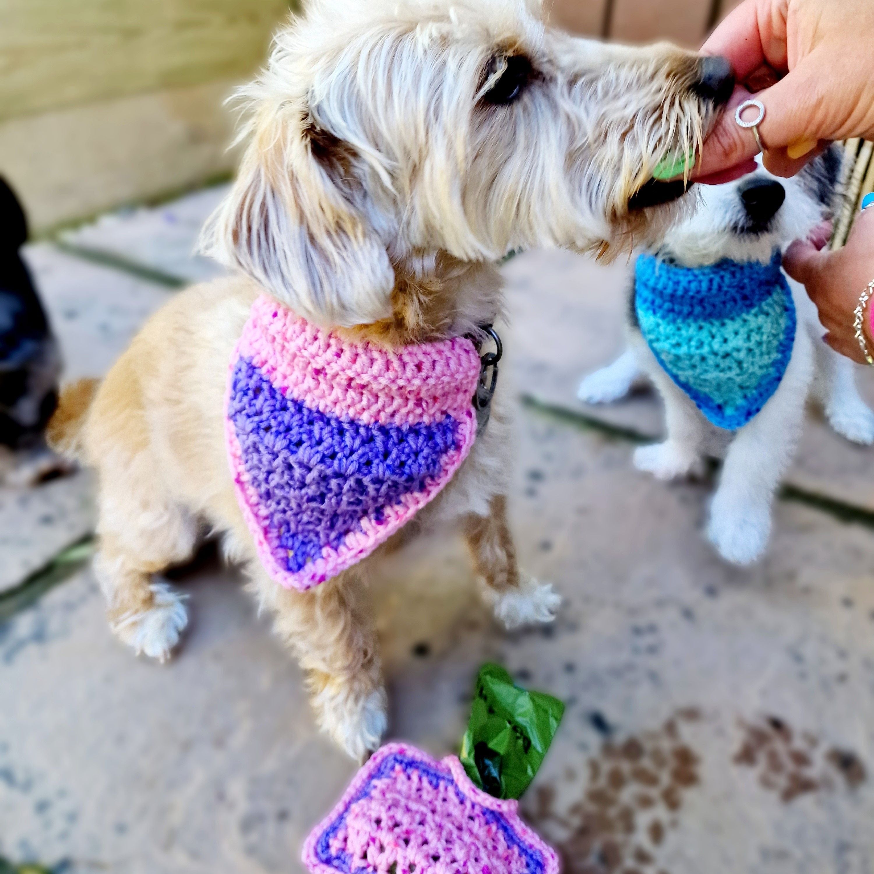 hobbii-alfie-bandana-h-kelanleitung-pdf-hund-blau-pink image 6
