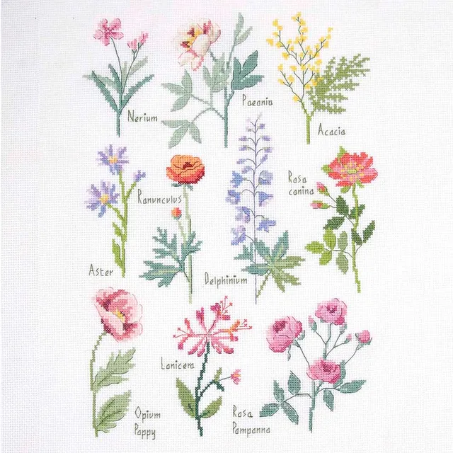 dmc-botanische-studie-kreuzstichset-mittel-36-farben image 1